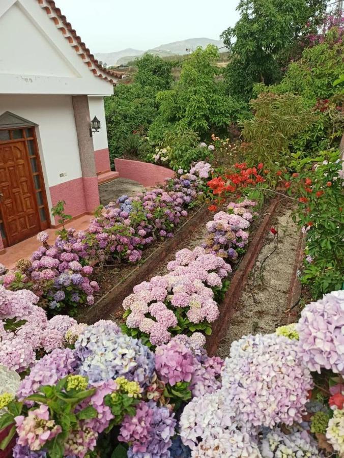 Mar De Flores Vega de San Mateo Exterior photo